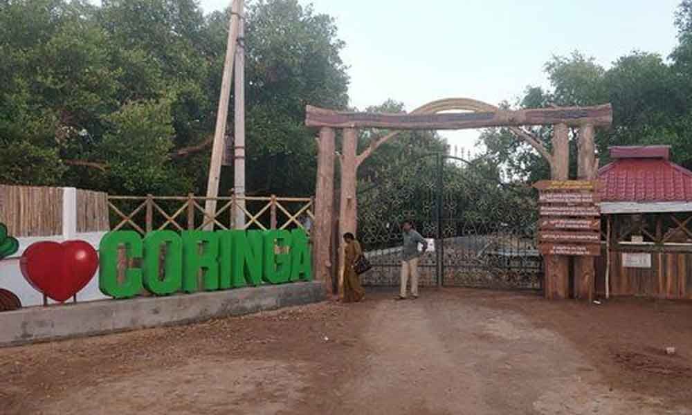 Car Travels in Vijayawada